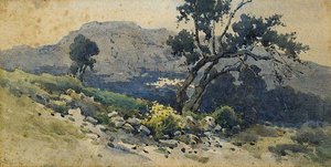 nEnglish：老橄榄树 作者 安吉洛斯·贾利纳斯（Angelos Giallinas）